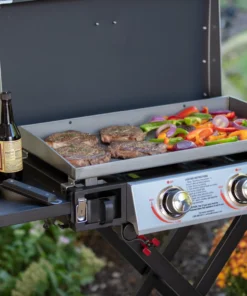 Blue Rhino Grills Razor Griddle Black and Silver/Powder Coated 2-Burner Liquid Propane Gas Grill -Mmaster Outlet Shop 11908467 scaled