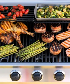 Char-Broil Grills Performance Silver 5-Burner Liquid Propane Gas Grill with 1 Side Burner 27 Char-Broil Grills Performance Silver 5-Burner Liquid Propane Gas Grill with 1 Side Burner -Mmaster Outlet Shop 18385873