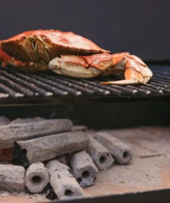 Prime 6 Grilling Fuels Premium sustainable reusable charcoal 9-lb Charcoal Briquettes 29 Prime 6 Grilling Fuels Premium sustainable reusable charcoal 9-lb Charcoal Briquettes -Mmaster Outlet Shop 40791405 scaled