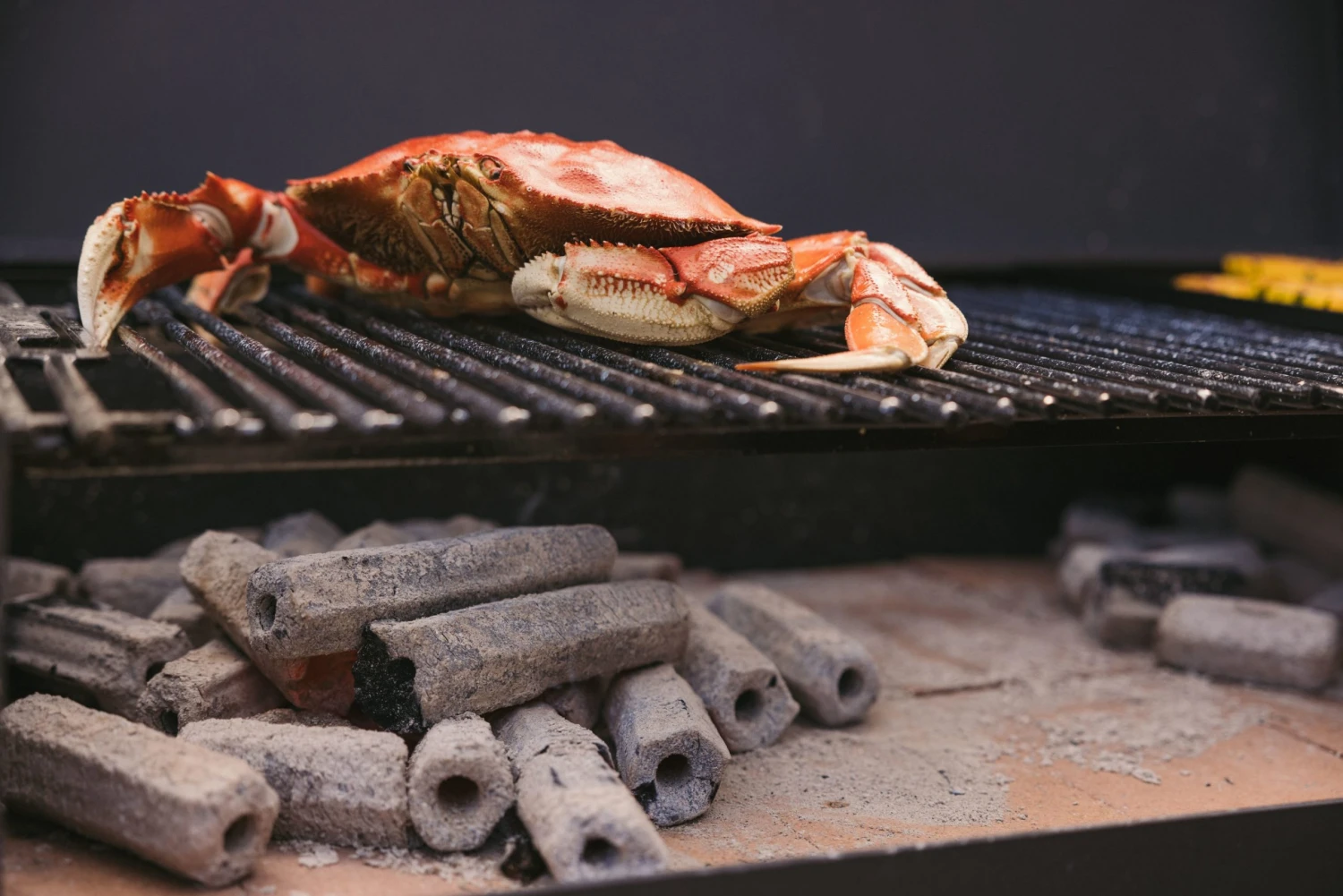 Prime 6 Grilling Fuels Premium sustainable reusable charcoal 9-lb Charcoal Briquettes 10 Prime 6 Grilling Fuels Premium sustainable reusable charcoal 9-lb Charcoal Briquettes - Image 10