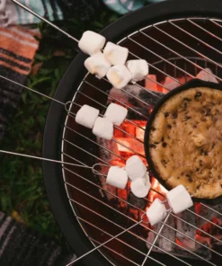 Prime 6 Grilling Fuels Premium sustainable reusable charcoal 9-lb Charcoal Briquettes 32 Prime 6 Grilling Fuels Premium sustainable reusable charcoal 9-lb Charcoal Briquettes -Mmaster Outlet Shop 40792808 scaled