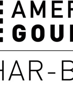 American Gourmet Grills Black 2-Burner Liquid Propane Gas Grill 17 American Gourmet Grills Black 2-Burner Liquid Propane Gas Grill -Mmaster Outlet Shop 42462845