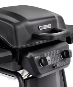 American Gourmet Grills Black 2-Burner Liquid Propane Gas Grill 12 American Gourmet Grills Black 2-Burner Liquid Propane Gas Grill -Mmaster Outlet Shop 42619332