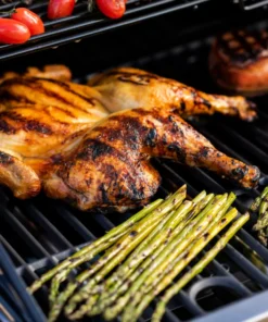 Char-Broil Grills Performance Silver 5-Burner Liquid Propane Gas Grill with 1 Side Burner 33 Char-Broil Grills Performance Silver 5-Burner Liquid Propane Gas Grill with 1 Side Burner -Mmaster Outlet Shop 43462967 scaled