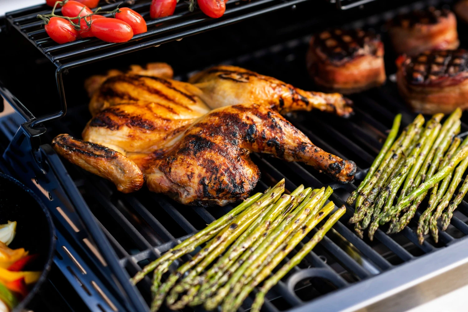 Char-Broil Grills Performance Silver 5-Burner Liquid Propane Gas Grill with 1 Side Burner 14 Char-Broil Grills Performance Silver 5-Burner Liquid Propane Gas Grill with 1 Side Burner - Image 14