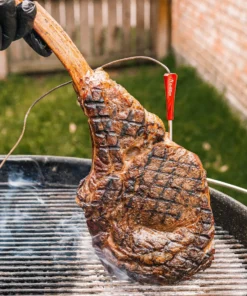 GrillEye Grill Replacement Parts Iris Oval Grill Thermometer 9 GrillEye Grill Replacement Parts Iris Oval Grill Thermometer -Mmaster Outlet Shop 44565665 scaled